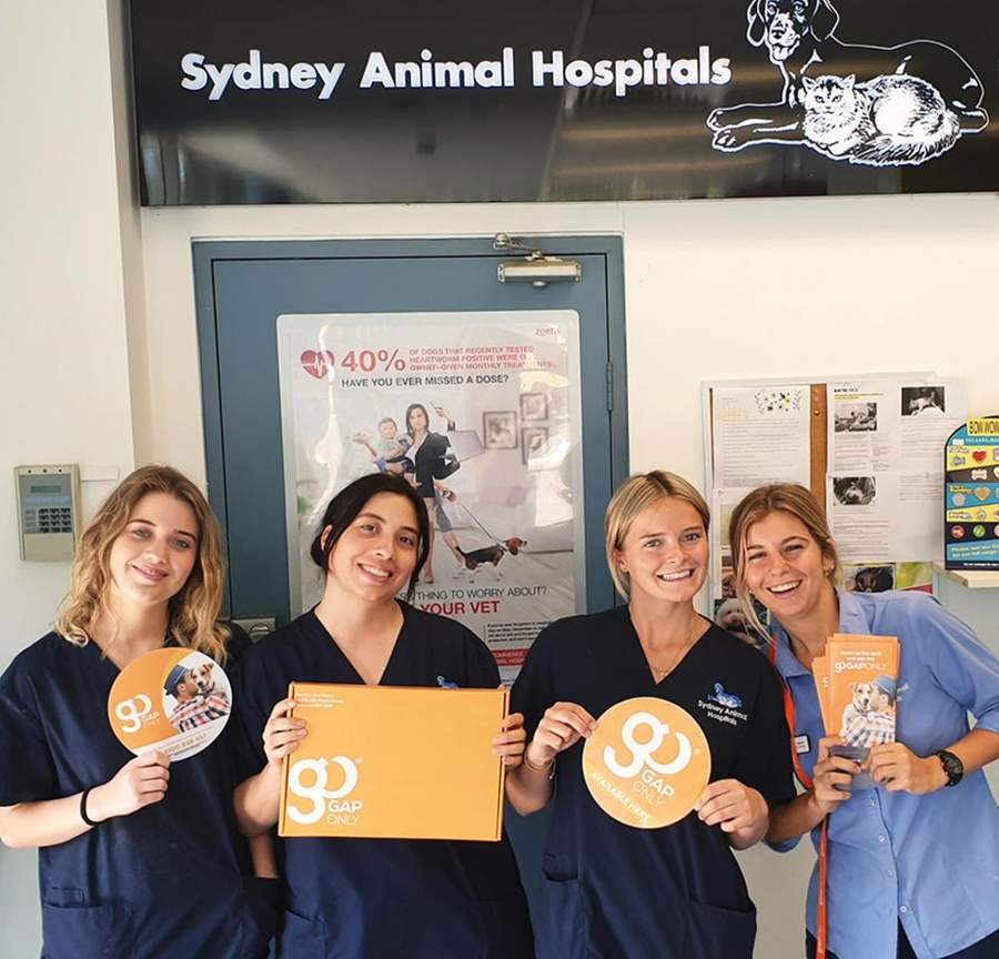 GapOnly vet onboarding kit, the orange box